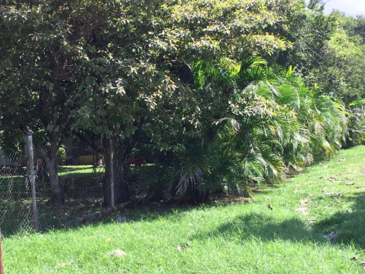 Ant&oacute;n, Cocl&eacute;, Panama,3 Bedrooms, 0,3 Bathrooms,Homes,For Sale