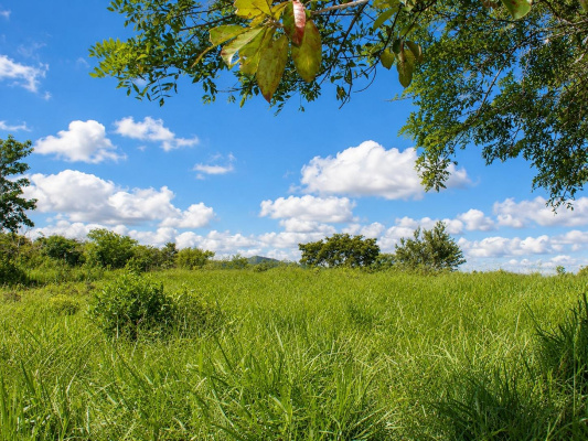 Dolega, Chiriqui, Panama,0, 0,0,Land,For Sale