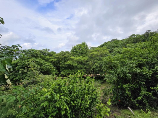 Tonos&iacute;, Los Santos, Panama,2 Bedrooms, 0,2 Bathrooms,Homes,For Sale
